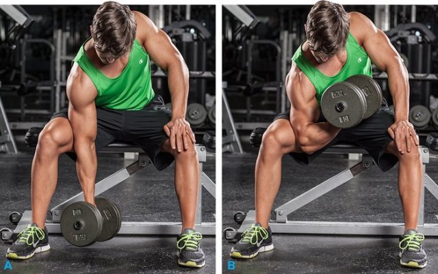 Nikolaus Lehnertz the-5-best-biceps-exercises-for-size-v2-5-700xh.jpg